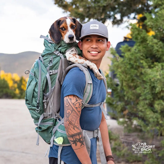 Man carrying dog in hiking backpack carrier on outdoor trail