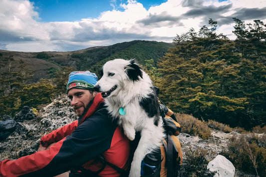 hiker carrying dog in backpack carrier on mountain trail