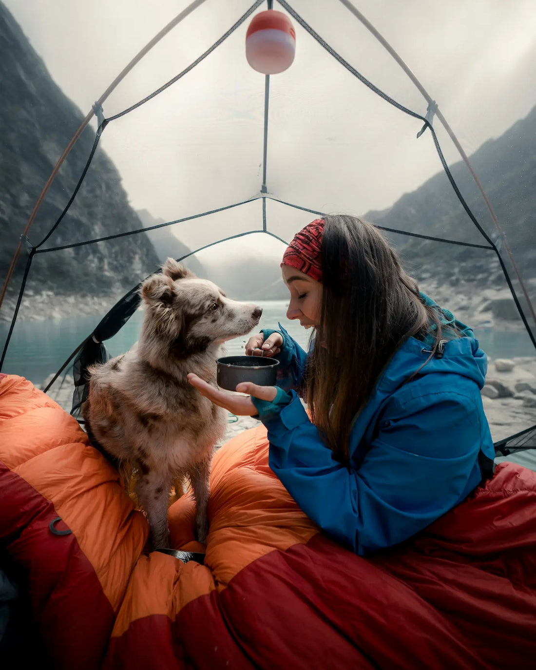 Woman camping with her dog inside a tent, sharing food while resting on sleeping bags by a mountain lake