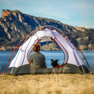 Person camping with small dog inside tent by mountain lake