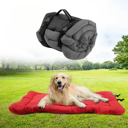 Golden retriever lying on portable outdoor dog bed for camping and travel