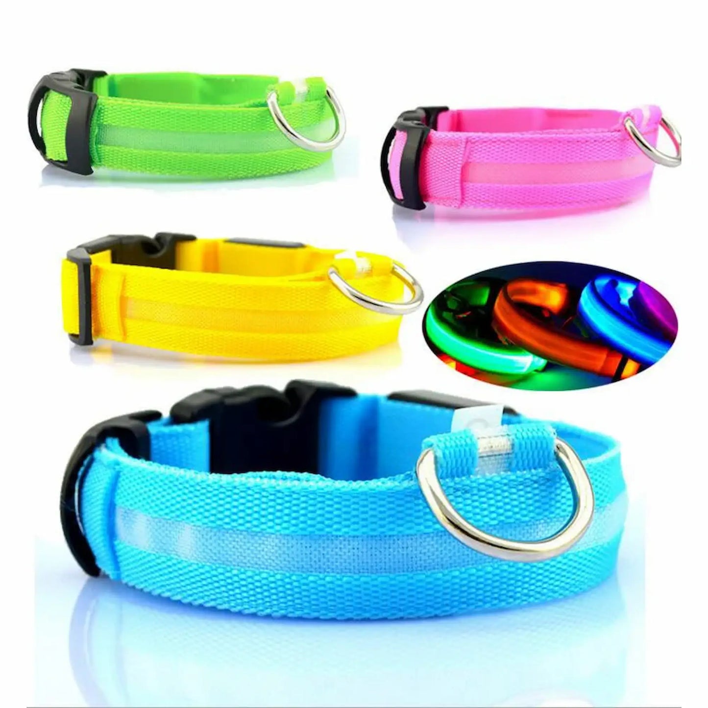 Adjustable LED dog collars in multiple colors with reflective strip and metal D-ring for night visibility