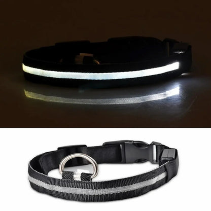 Black dog collar with reflective strip and metal D-ring, shown in low light and daylight