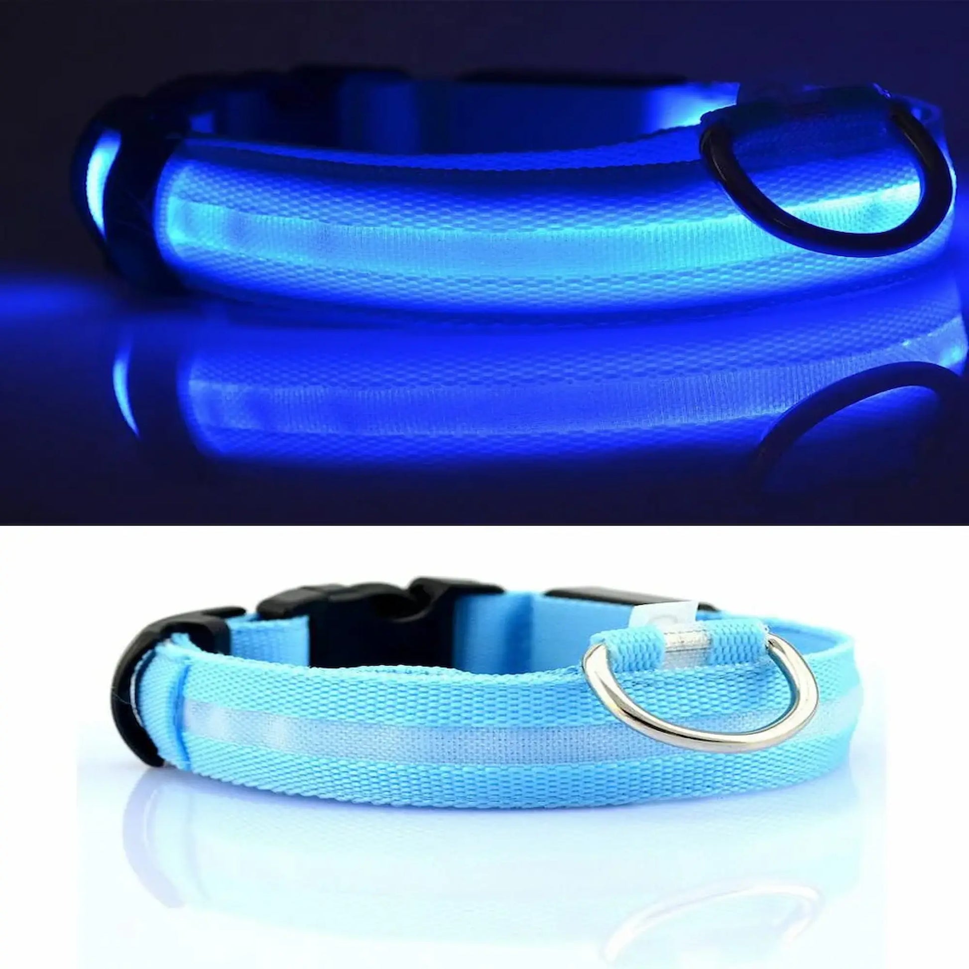Blue LED dog collar with reflective strip and metal D-ring, shown illuminated and unlit