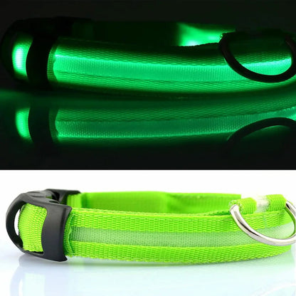 Green LED dog collar with reflective strip and metal D-ring, shown illuminated and unlit