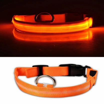 Orange LED dog collar with reflective strip and metal D-ring, shown illuminated and unlit