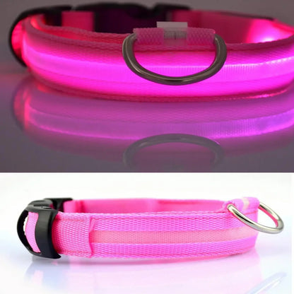 Pink LED dog collar with reflective strip and metal D-ring, shown illuminated and unlit