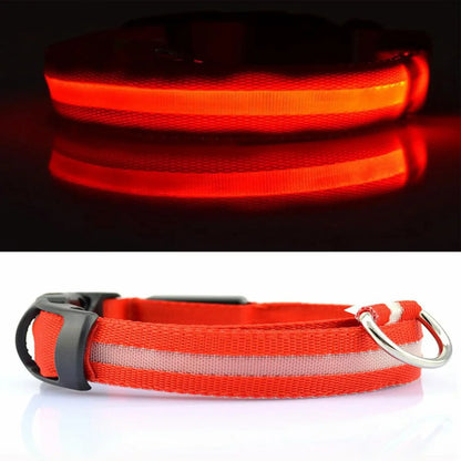 Red LED dog collar with reflective strip and metal D-ring, shown illuminated and unlit
