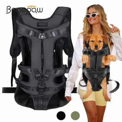 Dog sitting in a front-facing carrier backpack worn by a person, showing secure straps and supported fit