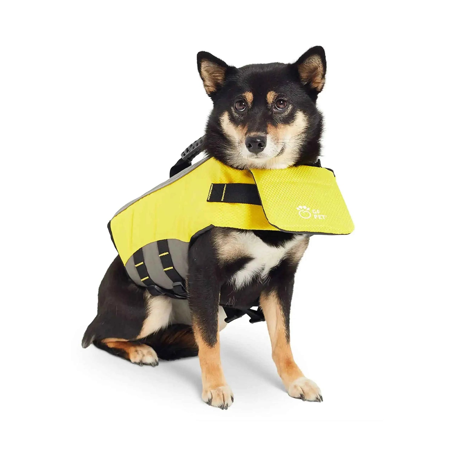Trail Teck Pet Lifejacket worn by a dog for water safety during boating, swimming, and camping trips